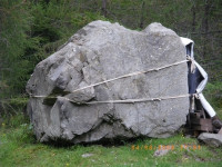 https://www.carlaboomkens.com:443/files/gimgs/th-57_IMGP1042.jpg
